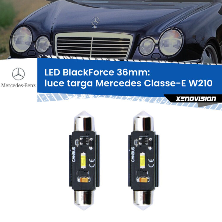 0 Luce Targa LED per Mercedes Classe-E W210 1995 - 2002: C5W BlackForce 36mm (Coppia) <strong>Luce Targa LED per Mercedes Classe-E</strong> W210 1995 - 2002. Coppia lampade <strong>C5W</strong> 36mm modello BlackForce canbus.