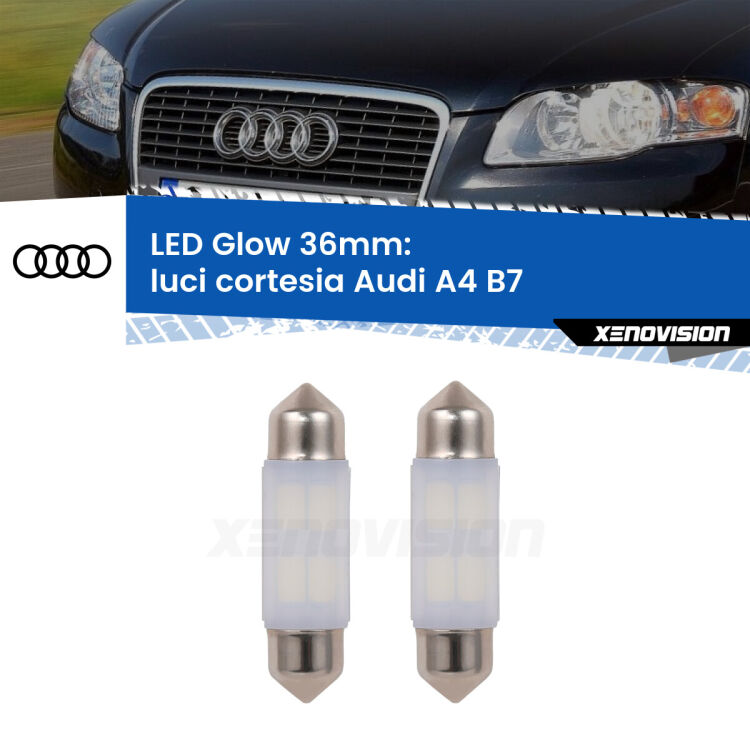 0 Luci Cortesia LED Audi A4 B7 posteriori: C5W Glow a Luce Calda (Coppia) <strong>Luci Cortesia LED luce calda per Audi A4</strong> B7 posteriori. Coppia lampade <strong>C5W</strong> 36mm modello Glow di Xenovision.