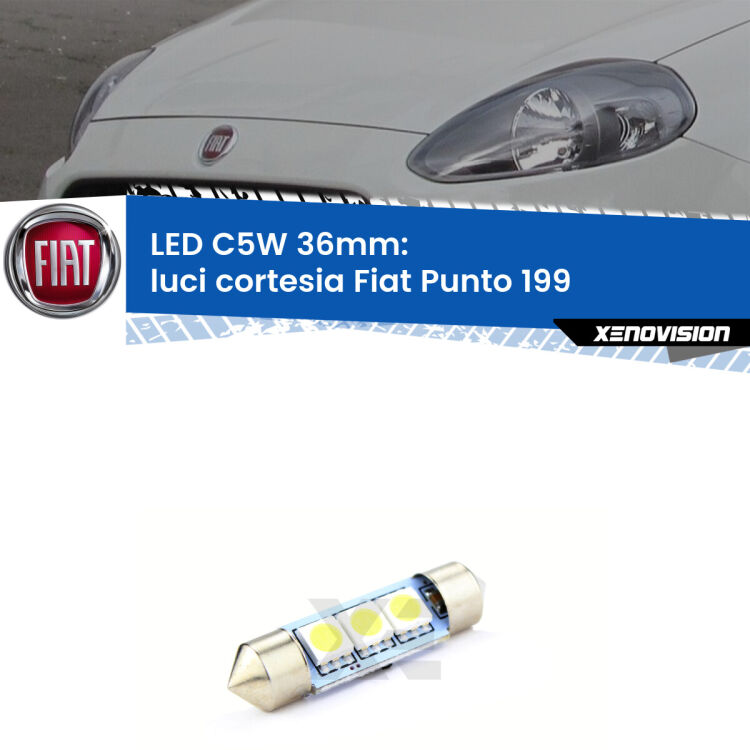 LED Luci Cortesia Fiat Punto 199 2012 - 2018. Una lampadina led innesto C5W 36mm canbus estremamente longeva.