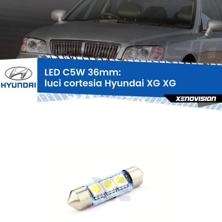 0 Luci Cortesia LED c5w 36mm Hyundai XG XG 1998 - 2005 (Coppia) <strong>Luci Cortesia LED per Hyundai XG</strong> XG 1998 - 2005. Coppia lampade <strong>C5W</strong> 36mm estremamente longeve.