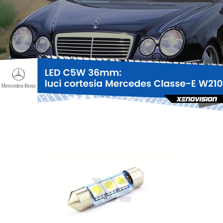 LED Luci Cortesia Mercedes Classe-E W210 1995 - 2002. Una lampadina led innesto C5W 36mm canbus estremamente longeva.