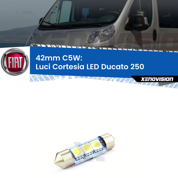 Lampadina eccezionalmente duratura, canbus e luminosa. C5W 42mm perfetto per Luci Cortesia LED Fiat Ducato (250) 2006 - 2018<br />.