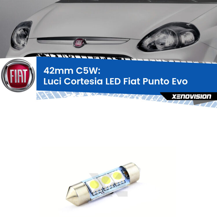 Lampadina eccezionalmente duratura, canbus e luminosa. C5W 42mm perfetto per Luci Cortesia LED Fiat Punto Evo  2009 - 2015<br />.