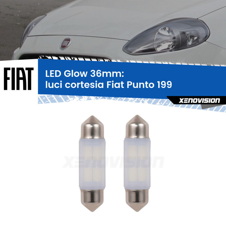 Luci Cortesia LED Fiat Punto 199 2012 - 2018: C5W Glow a Luce Calda (Coppia) <strong>Luci Cortesia LED luce calda per Fiat Punto</strong> 199 2012 - 2018. Coppia lampade <strong>C5W</strong> 36mm modello Glow di Xenovision.