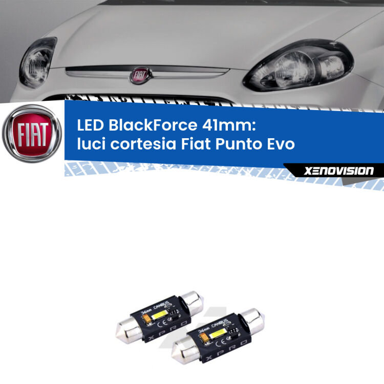<strong>LED luci cortesia 41mm per Fiat Punto Evo</strong>  2009 - 2015. Coppia lampadine <strong>C5W</strong>modello BlackForce Xenovision.