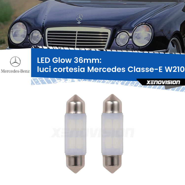 Luci Cortesia LED Mercedes Classe-E W210 1995 - 2002: C5W Glow a Luce Calda (Coppia) <strong>Luci Cortesia LED luce calda per Mercedes Classe-E</strong> W210 1995 - 2002. Coppia lampade <strong>C5W</strong> 36mm modello Glow di Xenovision.
