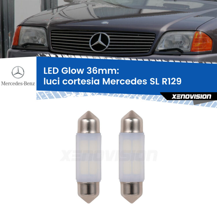 Luci Cortesia LED Mercedes SL R129 1989 - 2001: C5W Glow a Luce Calda (Coppia) <strong>Luci Cortesia LED luce calda per Mercedes SL</strong> R129 1989 - 2001. Coppia lampade <strong>C5W</strong> 36mm modello Glow di Xenovision.