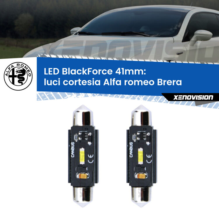 0 Luci Cortesia LED per Alfa romeo Brera  2006 - 2010: C5W BlackForce 41mm (Coppia) <strong>Luci Cortesia LED per Alfa romeo Brera</strong>  2006 - 2010. Coppia lampade <strong>C5W</strong> 41mm modello BlackForce canbus.
