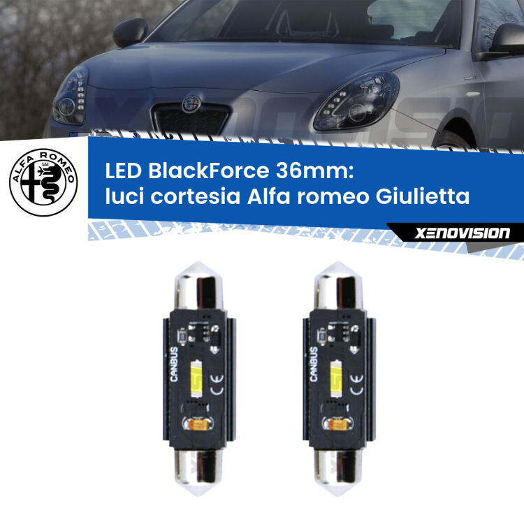 Luci Cortesia LED per Alfa romeo Giulietta  Posteriori: C5W BlackForce 36mm (Coppia) <strong>Luci Cortesia LED per Alfa romeo Giulietta</strong>  Posteriori. Coppia lampade <strong>C5W</strong> 36mm modello BlackForce canbus.