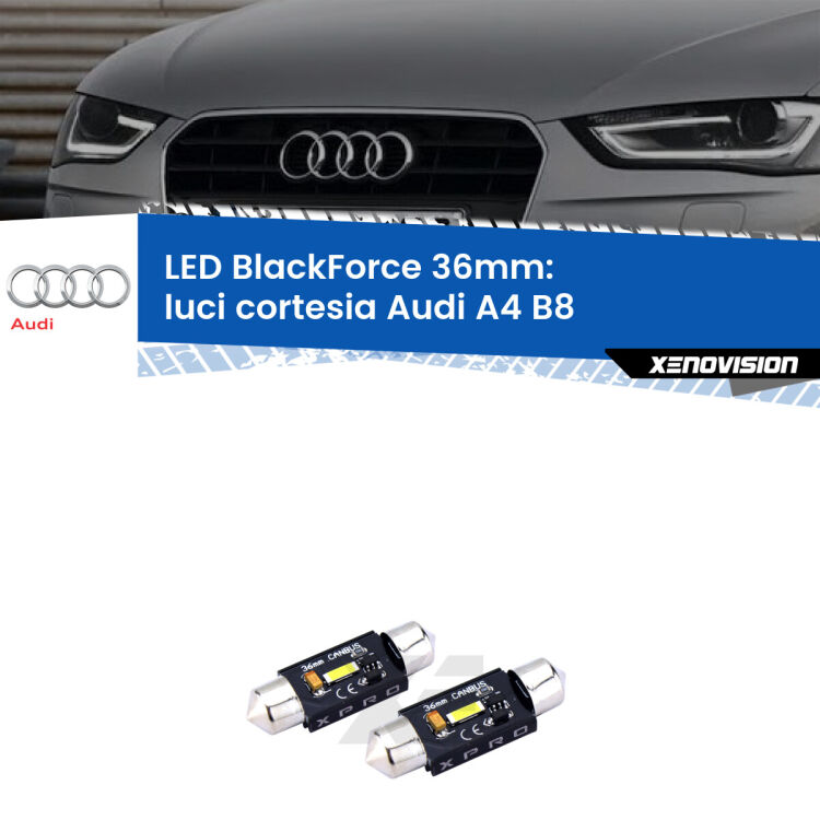 <strong>LED luci cortesia 36mm per Audi A4</strong> B8 2007 - 2015. Coppia lampadine <strong>C5W</strong>modello BlackForce Xenovision.