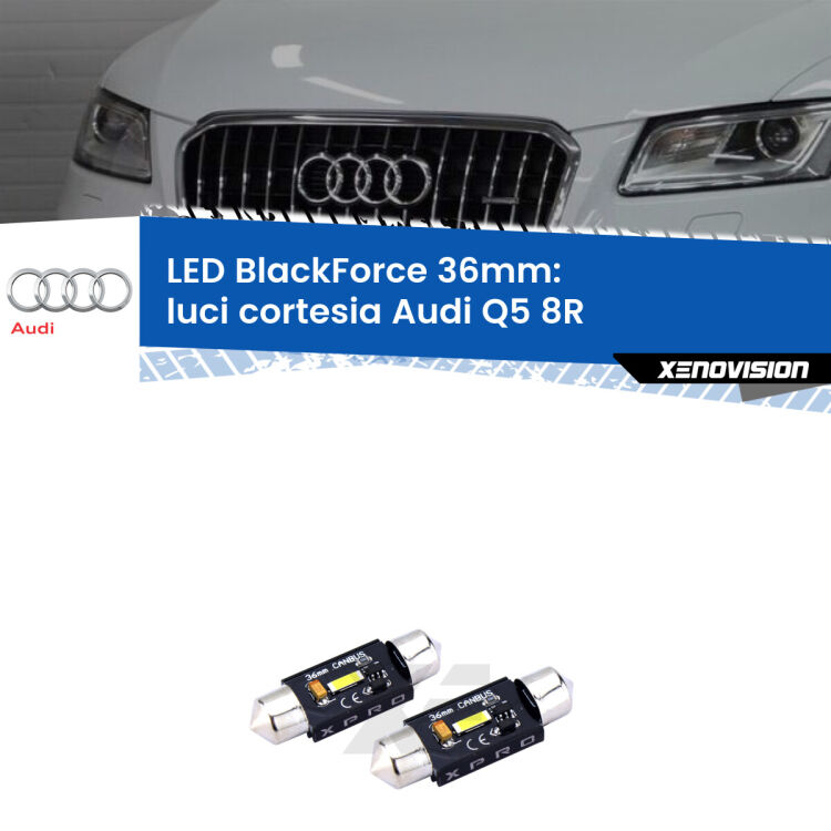 <strong>LED luci cortesia 36mm per Audi Q5</strong> 8R 2008 - 2017. Coppia lampadine <strong>C5W</strong>modello BlackForce Xenovision.