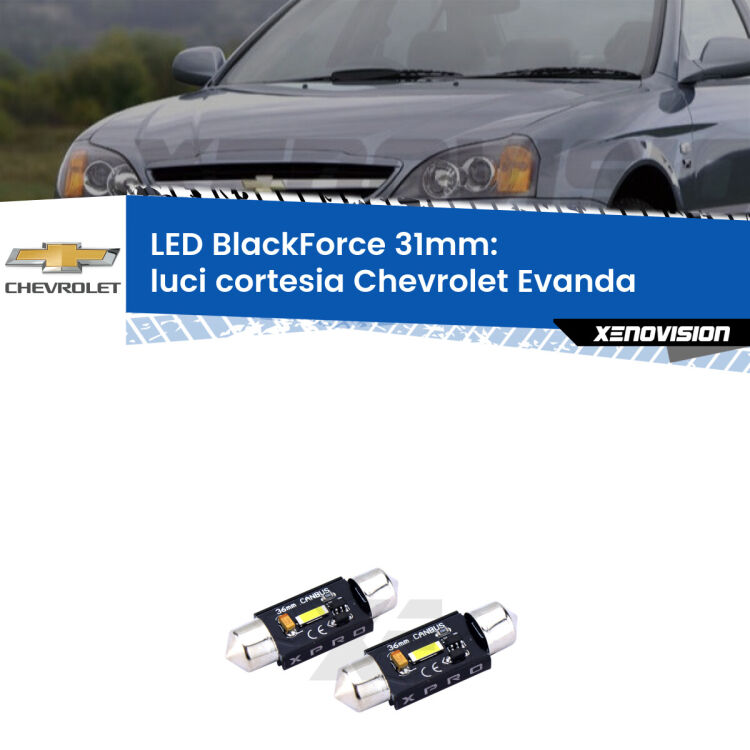 <strong>LED luci cortesia 31mm per Chevrolet Evanda</strong>  2005 - 2006. Coppia lampadine <strong>C5W</strong>modello BlackForce Xenovision.