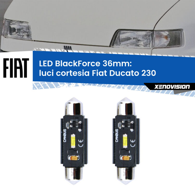 0 Luci Cortesia LED per Fiat Ducato 230 1994 - 2002: C5W BlackForce 36mm (Coppia) <strong>Luci Cortesia LED per Fiat Ducato</strong> 230 1994 - 2002. Coppia lampade <strong>C5W</strong> 36mm modello BlackForce canbus.