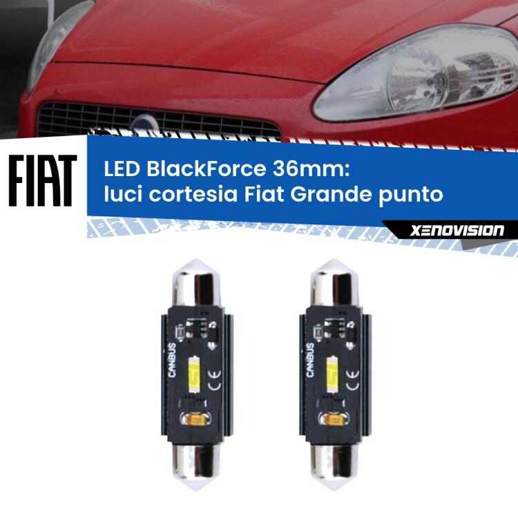 Luci Cortesia LED per Fiat Grande punto 2005 - 2018: C5W BlackForce 36mm (Coppia) <strong>Luci Cortesia LED per Fiat Grande punto</strong> 2005 - 2018. Coppia lampade <strong>C5W</strong> 36mm modello BlackForce canbus.