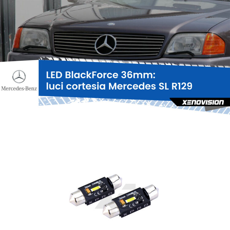<strong>LED luci cortesia 36mm per Mercedes SL</strong> R129 1989 - 2001. Coppia lampadine <strong>C5W</strong>modello BlackForce Xenovision.