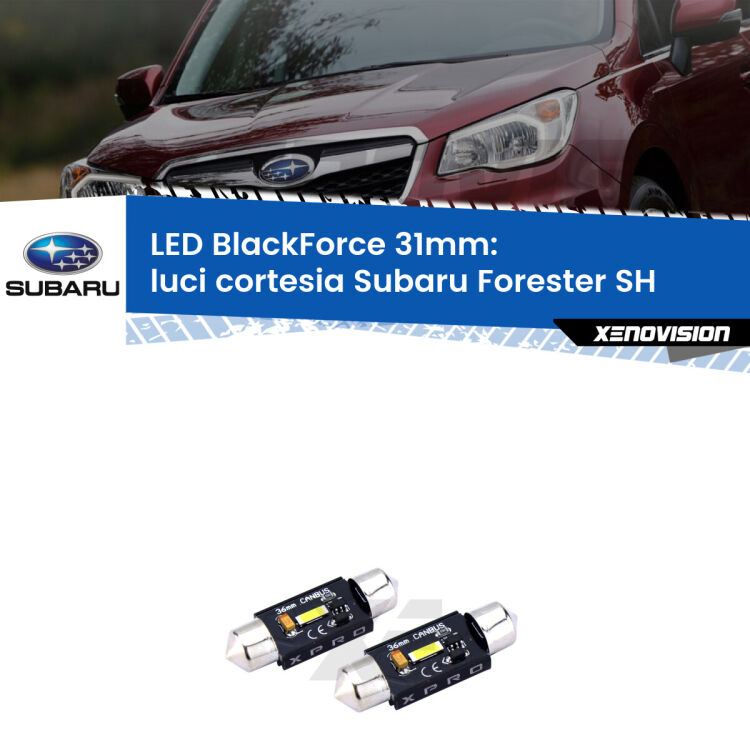<strong>LED luci cortesia 31mm per Subaru Forester</strong> SH 2008 - 2014. Coppia lampadine <strong>C5W</strong>modello BlackForce Xenovision.