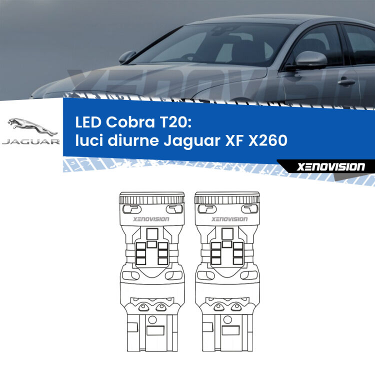 0 Luci diurne LED Jaguar XF X260 2015 in poi: T20 Cobra <strong>Luci diurne LED no-spie per Jaguar XF</strong> X260 2015 in poi. Coppia lampade <strong>T20</strong> modello Cobra super-canbus, raffreddate a ventola.