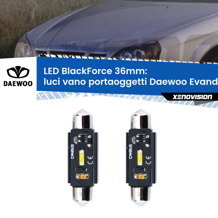 0 Luci Vano Portaoggetti LED per Daewoo Evanda 2002 - 2005: C5W BlackForce 36mm (Coppia) <strong>Luci Vano Portaoggetti LED per Daewoo Evanda</strong> 2002 - 2005. Coppia lampade <strong>C5W</strong> 36mm modello BlackForce canbus.