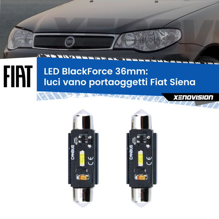 0 Luci Vano Portaoggetti LED per Fiat Siena  1996 - 2012: C5W BlackForce 36mm (Coppia) <strong>Luci Vano Portaoggetti LED per Fiat Siena</strong>  1996 - 2012. Coppia lampade <strong>C5W</strong> 36mm modello BlackForce canbus.