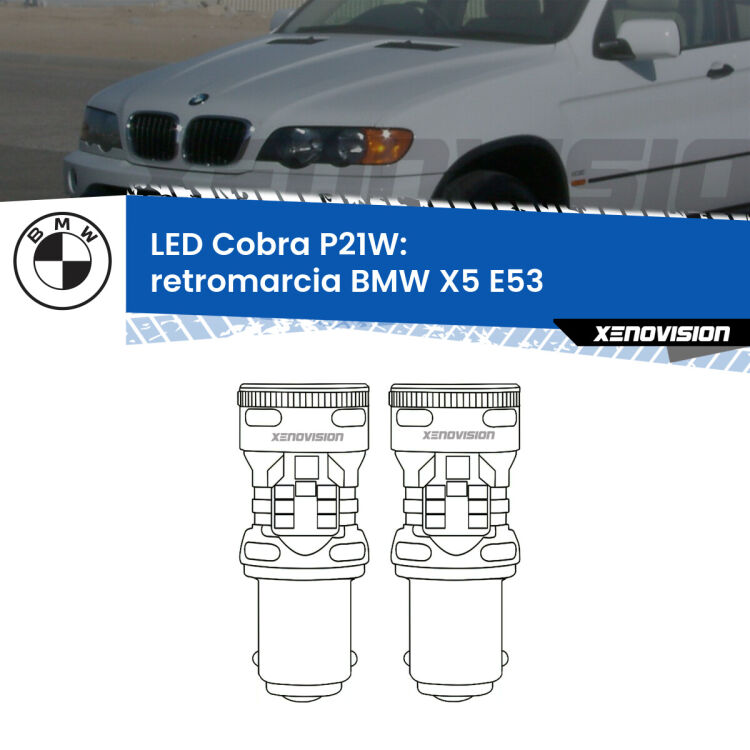 0 Retromarcia LED BMW X5 E53 1999 - 2005: P21W Cobra <strong>Retromarcia LED no-spie per BMW X5</strong> E53 1999 - 2005. Coppia lampade <strong>P21W</strong> modello Cobra super-canbus, raffreddate a ventola.