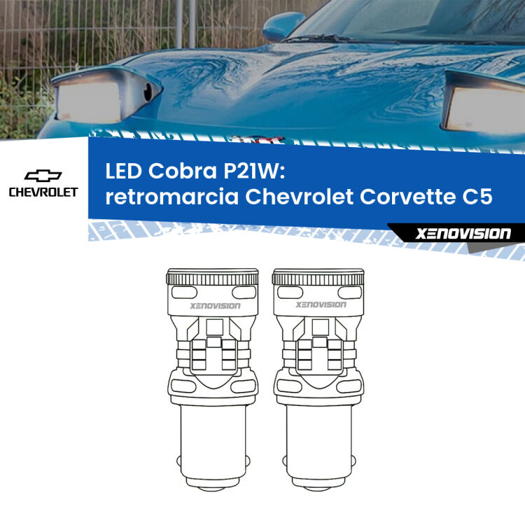 0 Retromarcia LED Chevrolet Corvette C5 1997 - 2004: P21W Cobra <strong>Retromarcia LED no-spie per Chevrolet Corvette</strong> C5 1997 - 2004. Coppia lampade <strong>P21W</strong> modello Cobra super-canbus, raffreddate a ventola.