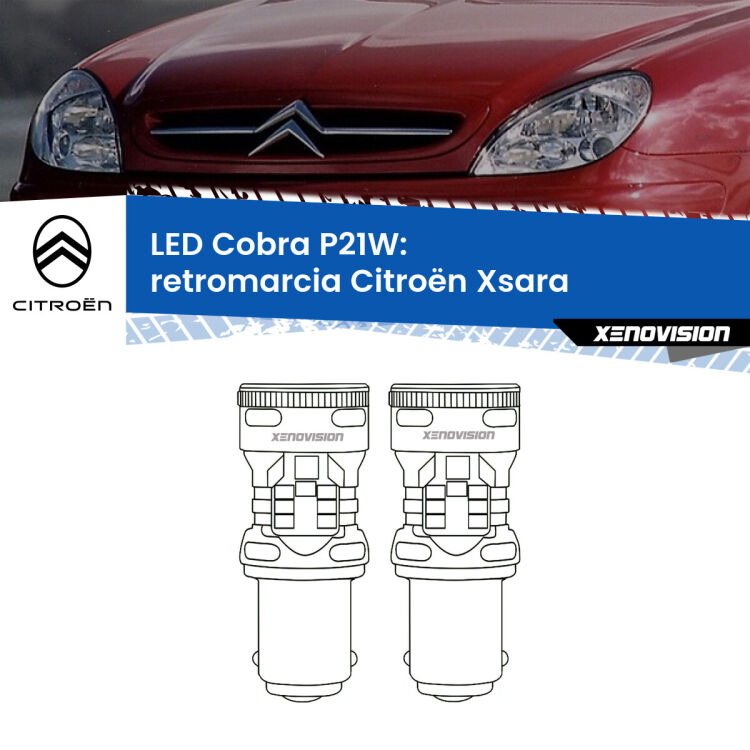 0 Retromarcia LED Citroën Xsara 1997 - 2005: P21W Cobra <strong>Retromarcia LED no-spie per Citroën Xsara</strong> 1997 - 2005. Coppia lampade <strong>P21W</strong> modello Cobra super-canbus, raffreddate a ventola.