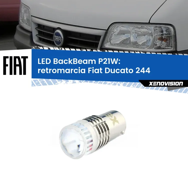 0 Retromarcia LED Fiat Ducato 244 2002 - 2006: P21W BackBeam <strong>Retromarcia LED per Fiat Ducato</strong> 244 2002 - 2006. Lampada <strong>P21W</strong> canbus. Illumina a giorno con questo straordinario cannone LED a luminosità estrema.