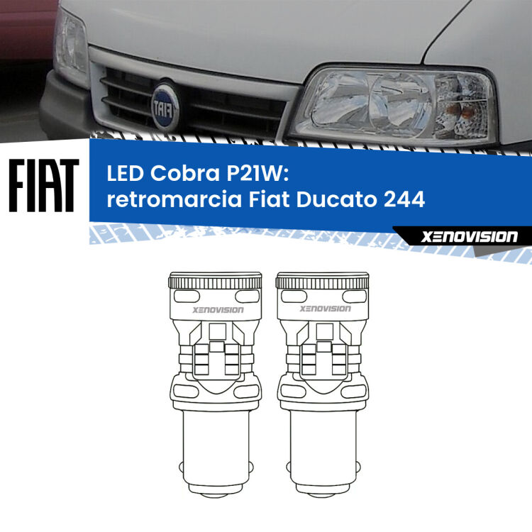 0 Retromarcia LED Fiat Ducato 244 2002 - 2006: P21W Cobra <strong>Retromarcia LED no-spie per Fiat Ducato</strong> 244 2002 - 2006. Coppia lampade <strong>P21W</strong> modello Cobra super-canbus, raffreddate a ventola.
