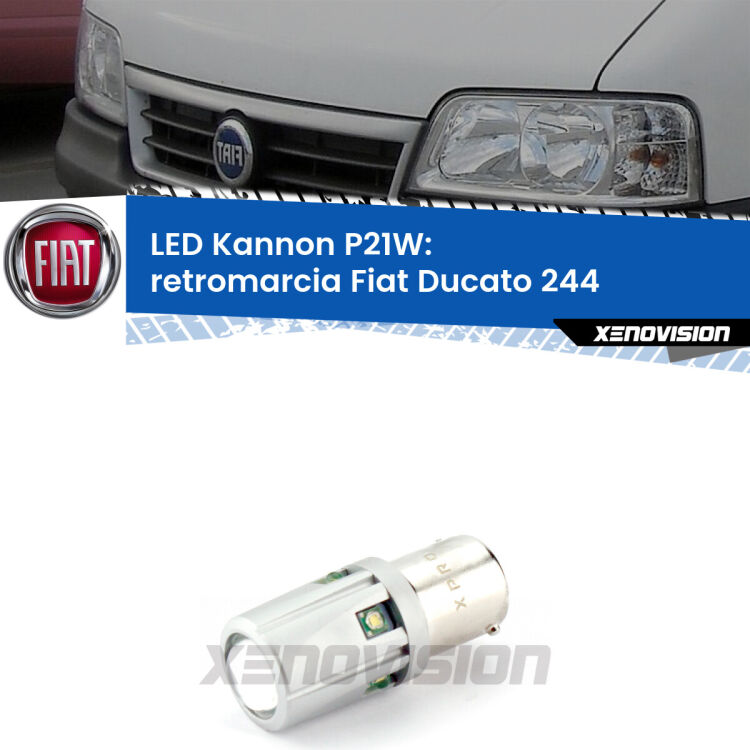 <strong>LED per Retromarcia Fiat Ducato 244 2002 - 2006.</strong>Lampadina P21W con una poderosa illuminazione frontale rafforzata da 5 potenti chip laterali.