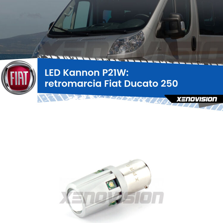 <strong>LED per Retromarcia Fiat Ducato 250 2006 - 2013.</strong>Lampadina P21W con una poderosa illuminazione frontale rafforzata da 5 potenti chip laterali.