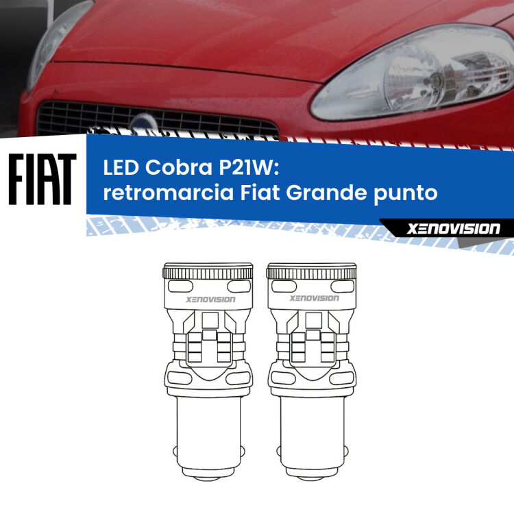 0 Retromarcia LED Fiat Grande punto 2005 - 2018: P21W Cobra <strong>Retromarcia LED no-spie per Fiat Grande punto</strong> 2005 - 2018. Coppia lampade <strong>P21W</strong> modello Cobra super-canbus, raffreddate a ventola.