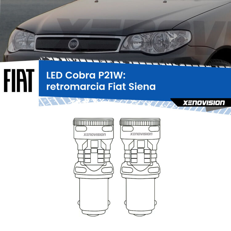 0 Retromarcia LED Fiat Siena 1996 - 2012: P21W Cobra <strong>Retromarcia LED no-spie per Fiat Siena</strong> 1996 - 2012. Coppia lampade <strong>P21W</strong> modello Cobra super-canbus, raffreddate a ventola.