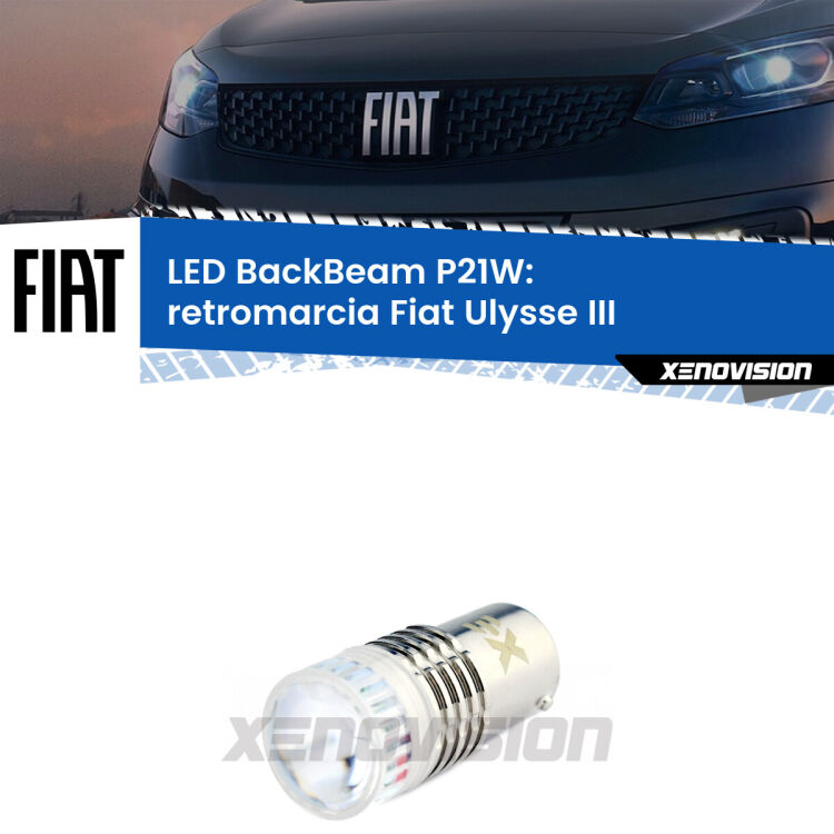 0 Retromarcia LED Fiat Ulysse III 2022 in poi: P21W BackBeam <strong>Retromarcia LED per Fiat Ulysse</strong> III 2022 in poi. Lampada <strong>P21W</strong> canbus. Illumina a giorno con questo straordinario cannone LED a luminosità estrema.