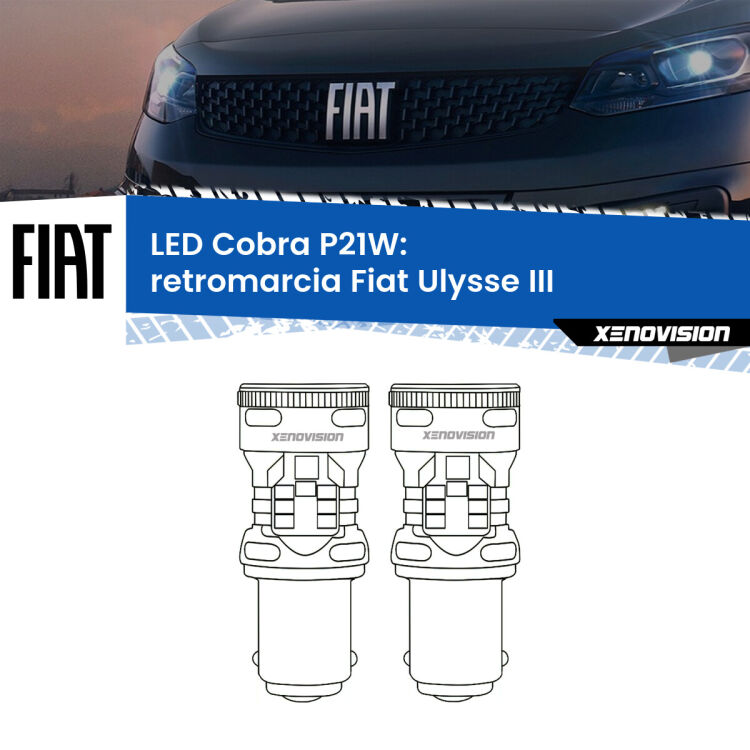 0 Retromarcia LED Fiat Ulysse III 2022 in poi: P21W Cobra <strong>Retromarcia LED no-spie per Fiat Ulysse</strong> III 2022 in poi. Coppia lampade <strong>P21W</strong> modello Cobra super-canbus, raffreddate a ventola.