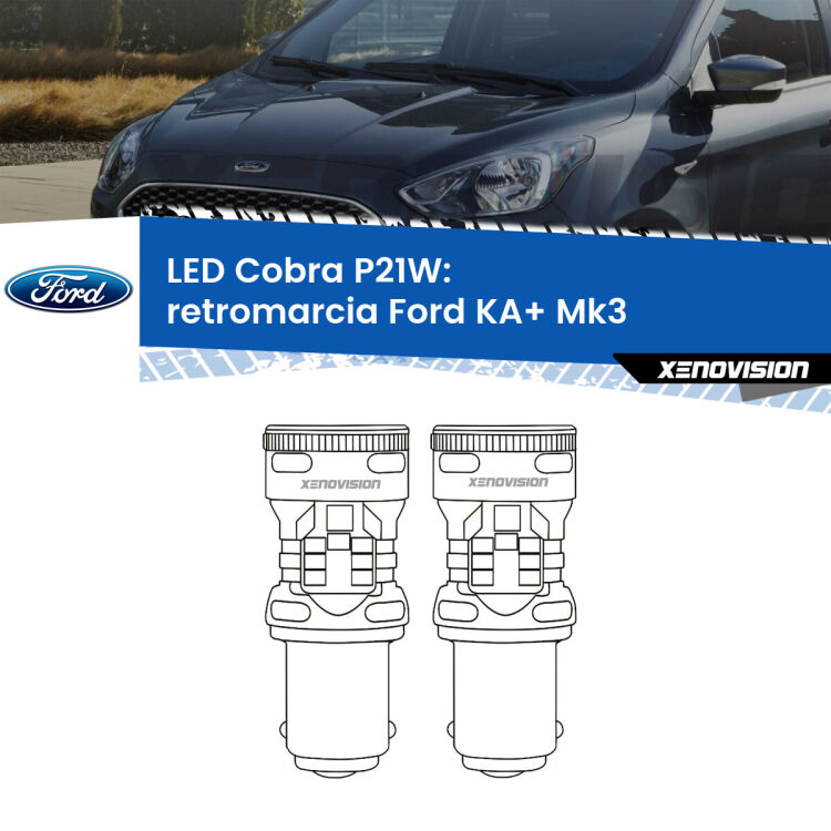 0 Retromarcia LED Ford KA+ Mk3 2014 - 2018: P21W Cobra <strong>Retromarcia LED no-spie per Ford KA+</strong> Mk3 2014 - 2018. Coppia lampade <strong>P21W</strong> modello Cobra super-canbus, raffreddate a ventola.