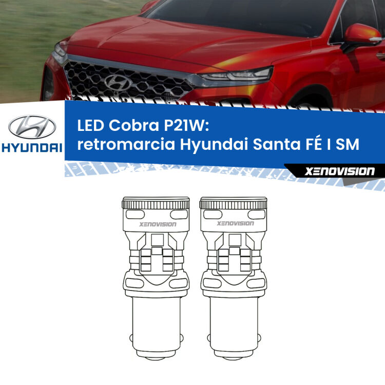 0 Retromarcia LED Hyundai Santa FÉ I SM 2001 - 2012: P21W Cobra <strong>Retromarcia LED no-spie per Hyundai Santa FÉ I</strong> SM 2001 - 2012. Coppia lampade <strong>P21W</strong> modello Cobra super-canbus, raffreddate a ventola.