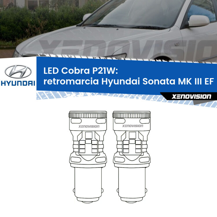 0 Retromarcia LED Hyundai Sonata MK III EF 1998 - 2004: P21W Cobra <strong>Retromarcia LED no-spie per Hyundai Sonata MK III</strong> EF 1998 - 2004. Coppia lampade <strong>P21W</strong> modello Cobra super-canbus, raffreddate a ventola.