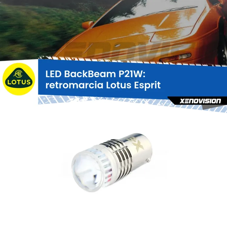 0 Retromarcia LED Lotus Esprit 1989 - 2003: P21W BackBeam <strong>Retromarcia LED per Lotus Esprit</strong> 1989 - 2003. Lampada <strong>P21W</strong> canbus. Illumina a giorno con questo straordinario cannone LED a luminosità estrema.