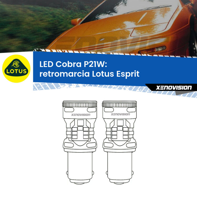 0 Retromarcia LED Lotus Esprit 1989 - 2003: P21W Cobra <strong>Retromarcia LED no-spie per Lotus Esprit</strong> 1989 - 2003. Coppia lampade <strong>P21W</strong> modello Cobra super-canbus, raffreddate a ventola.