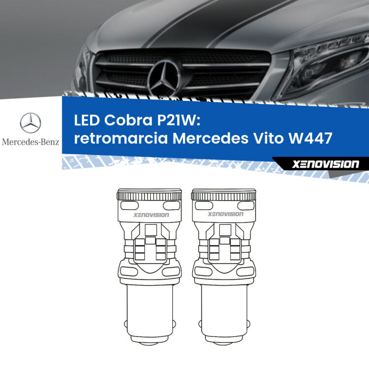 0 Retromarcia LED Mercedes Vito W447 prima serie: P21W Cobra <strong>Retromarcia LED no-spie per Mercedes Vito</strong> W447 prima serie. Coppia lampade <strong>P21W</strong> modello Cobra super-canbus, raffreddate a ventola.