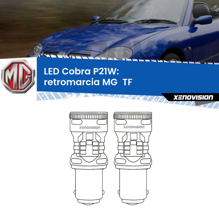 0 Retromarcia LED MG  TF  2002 - 2009: P21W Cobra <strong>Retromarcia LED no-spie per MG  TF</strong>  2002 - 2009. Coppia lampade <strong>P21W</strong> modello Cobra super-canbus, raffreddate a ventola.