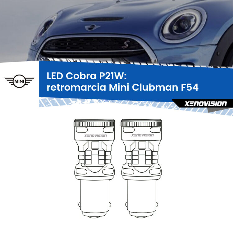 0 Retromarcia LED Mini Clubman F54 2014 - 2019: P21W Cobra <strong>Retromarcia LED no-spie per Mini Clubman</strong> F54 2014 - 2019. Coppia lampade <strong>P21W</strong> modello Cobra super-canbus, raffreddate a ventola.