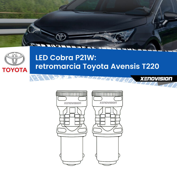 0 Retromarcia LED Toyota Avensis T220 1997 - 2003: P21W Cobra <strong>Retromarcia LED no-spie per Toyota Avensis</strong> T220 1997 - 2003. Coppia lampade <strong>P21W</strong> modello Cobra super-canbus, raffreddate a ventola.