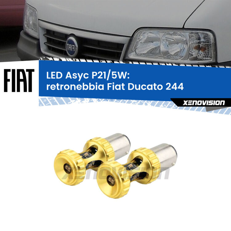 0 Retronebbia LED per Fiat Ducato 244 2002 - 2006: p21/5w Asyc <strong>retronebbia LED per Fiat Ducato</strong> 244 2002 - 2006. Lampadina <strong>P21/5W</strong> rossa Canbus modello Asyc Xenovision.