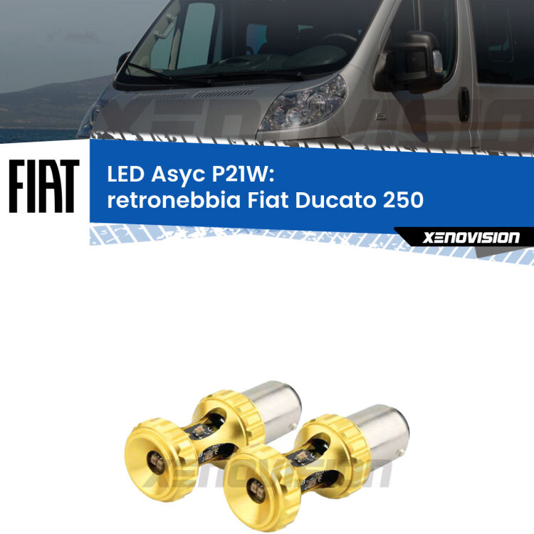 0 Retronebbia LED per Fiat Ducato 250 2006 - 2013: P21W Asyc <strong>Retronebbia LED per Fiat Ducato</strong> 250 2006 - 2013. Coppia lampade <strong>P21W</strong> super canbus Rosse modello Gear2.