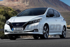 Leaf ZE0 (2010 - 2016)