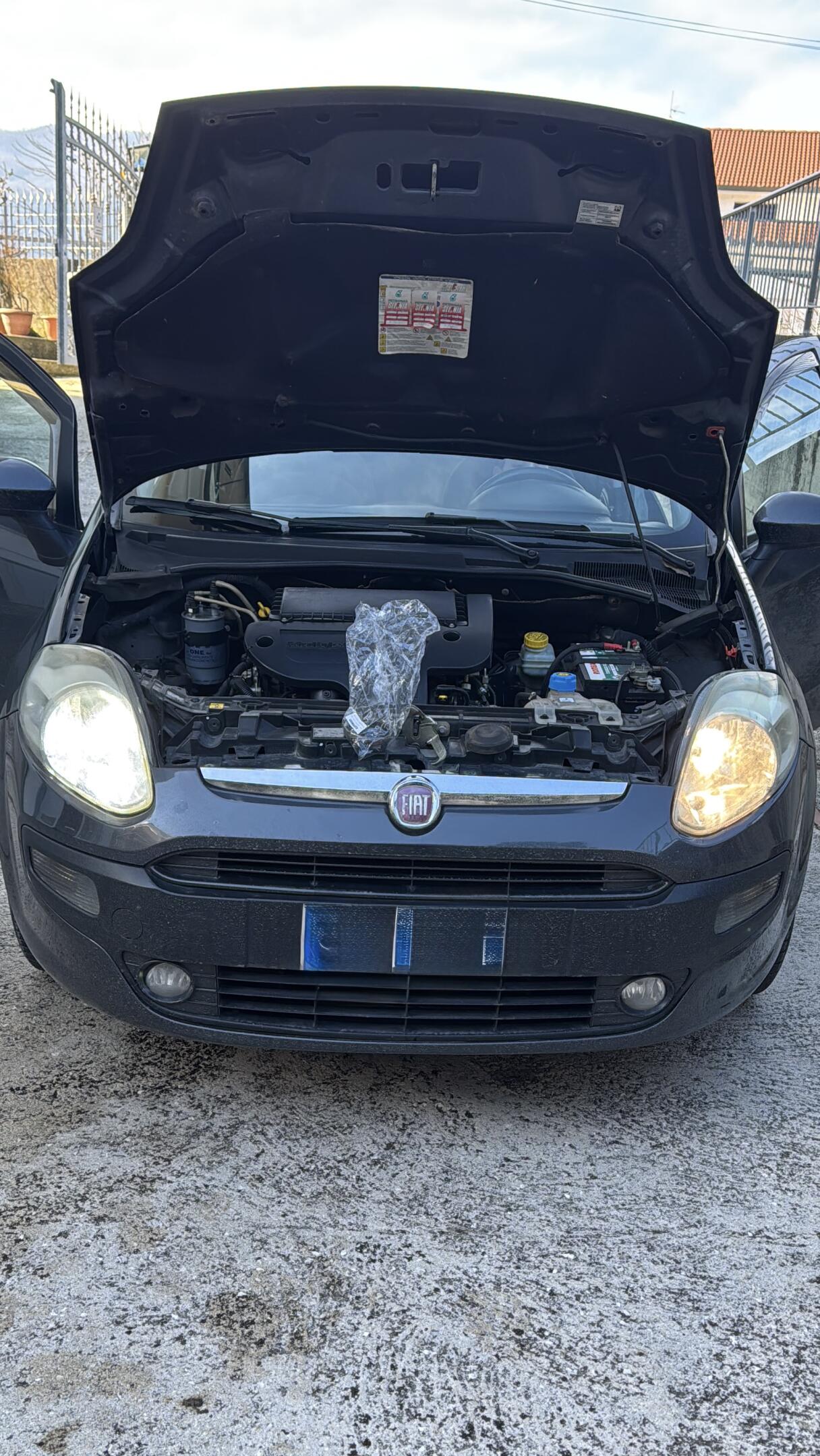 Fiat Punto Evo 2009-2015