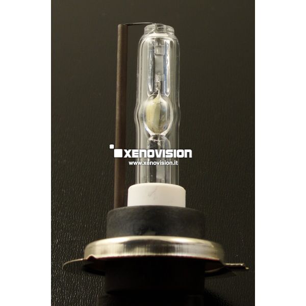 H7: Lampada HID Xenovision FocusPro 5300k