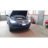2 D1S: Lampade HID Xenovision XT 5000K D1S: Lampade HID Xenovision XT 5000K