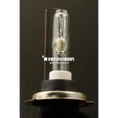 Kit Xenon H7 6100k 35W 64Bit Focus Pro Xenovision Bianco Lunare